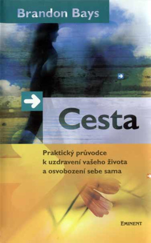 Cesta Cover