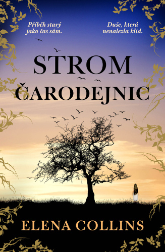 Strom čarodějnic Cover
