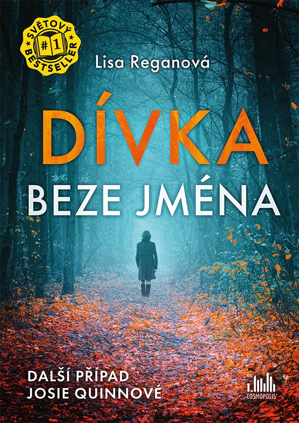 Dívka beze jména Cover